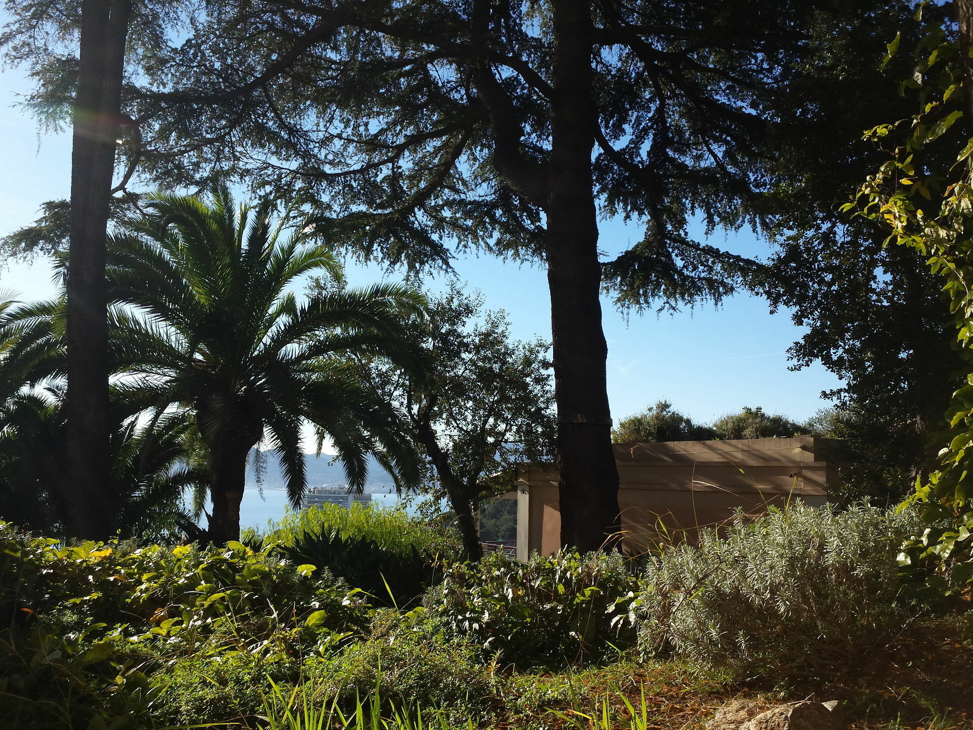 2 Pieces - Parc Paysager Avec Vue Apartment Cannes